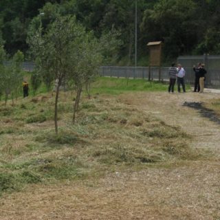 Castelforte-Suio_33-500x375