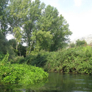 Fiume cavata_12