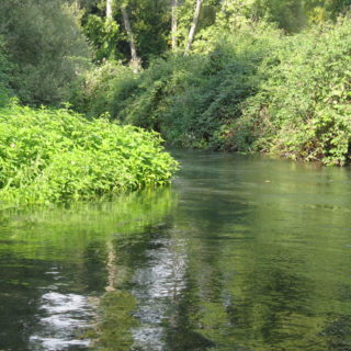 Fiume cavata_13