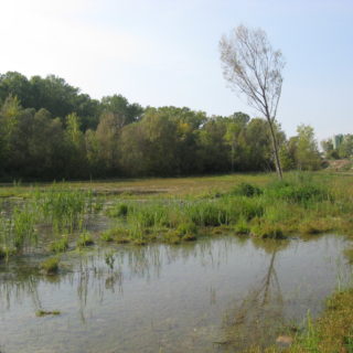 Fiume cavata_29