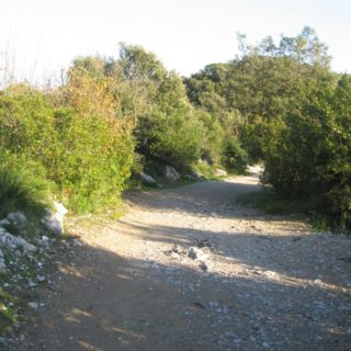 acropoli-san-felice-circeo-2