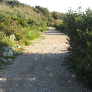 acropoli-san-felice-circeo-4