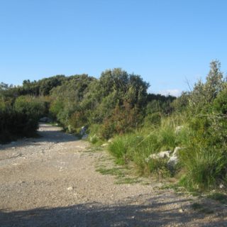 acropoli-san-felice-circeo-7