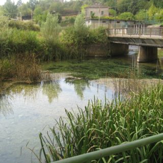 Spigno Saturnia (9)