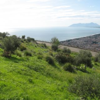 terracina-vista-4