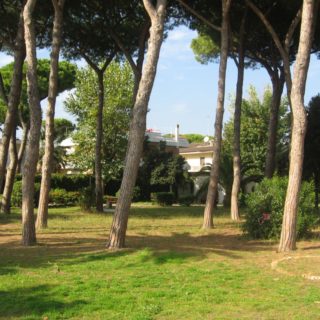 parco-comunale-terracina-5